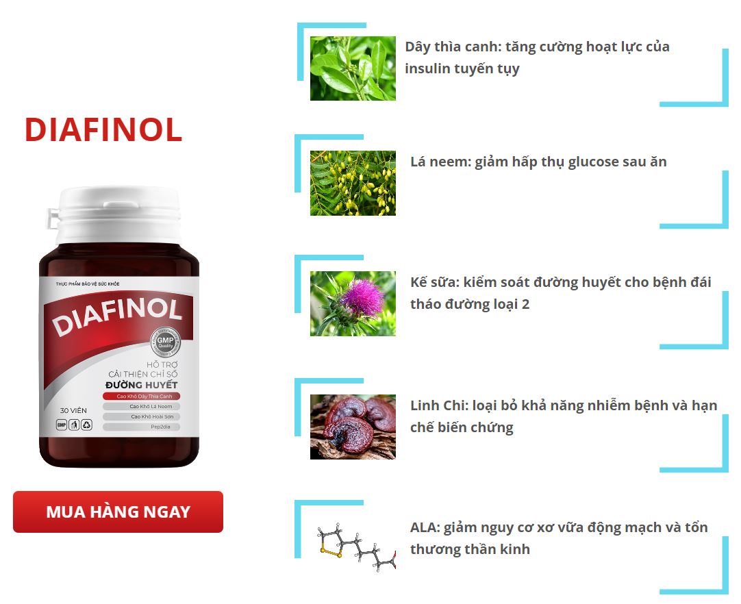 Diafinol – Hỗ trợ điều trị bệnh tiểu đường